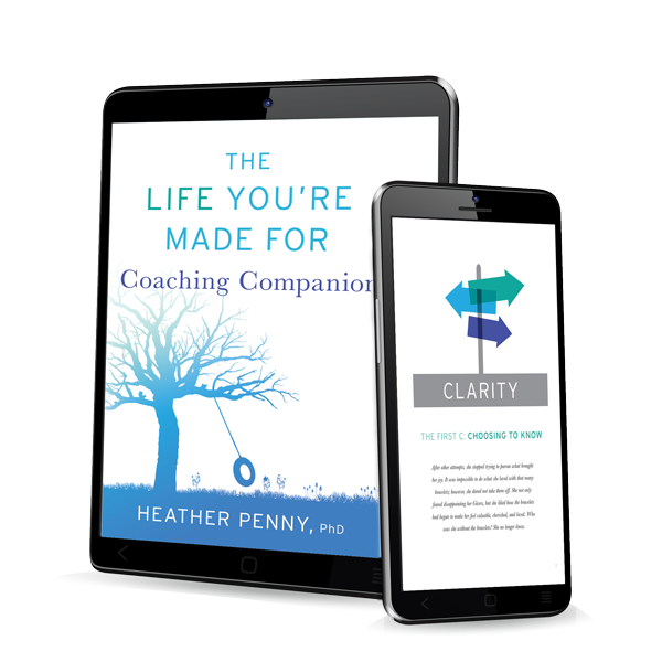 The Life You're Made For Coaching Companion